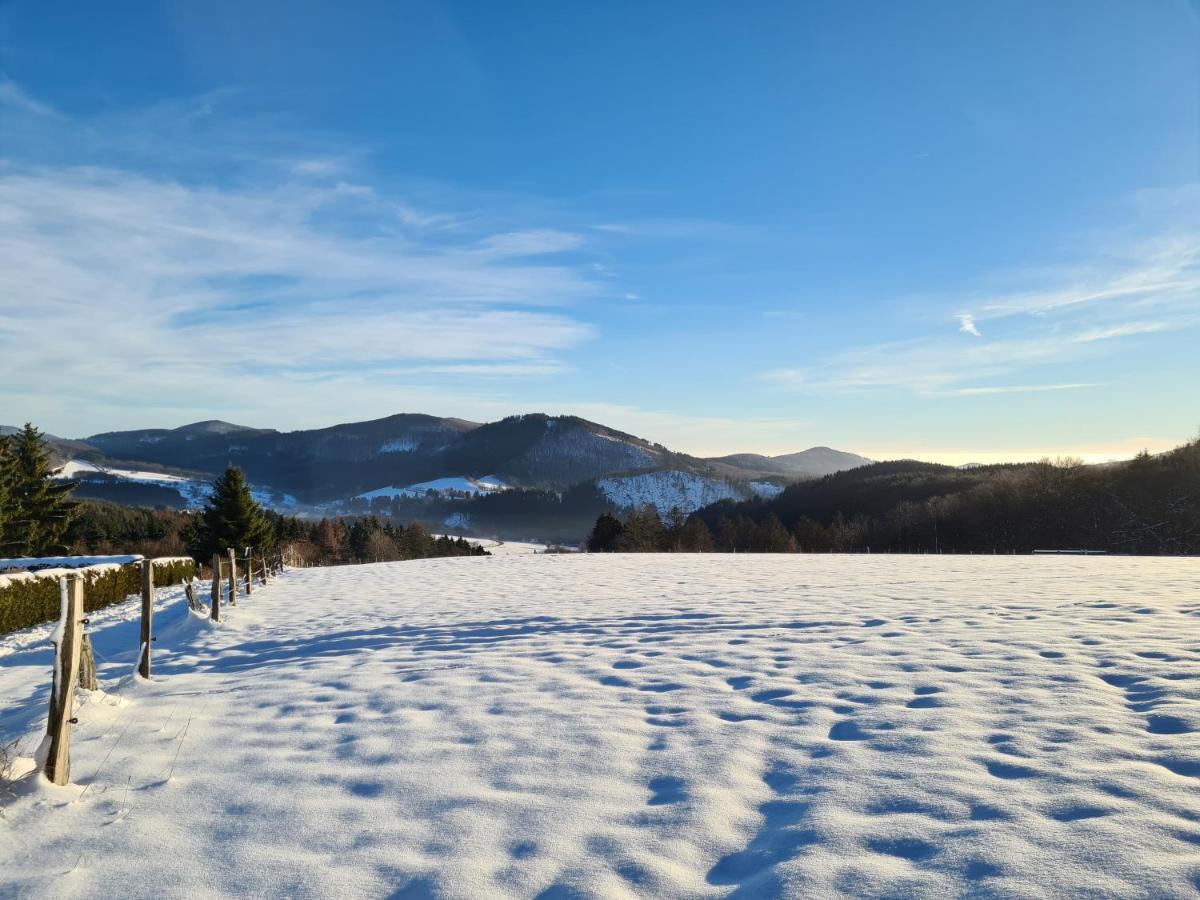 Ferienwohnung Auszeit Winterberg Zentrum Экстерьер фото